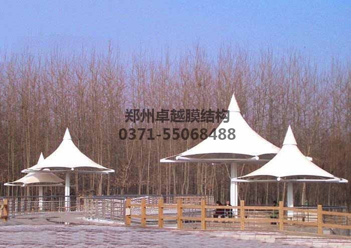廣場(chǎng)/公園膜結構實(shí)例一