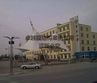 沈陽(yáng)遼中育才小學(xué)大門(mén)膜結構雨棚