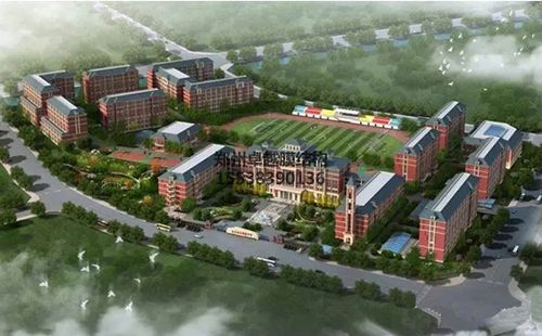 北大培文鶴壁中學(xué)膜結構看臺設計效果圖