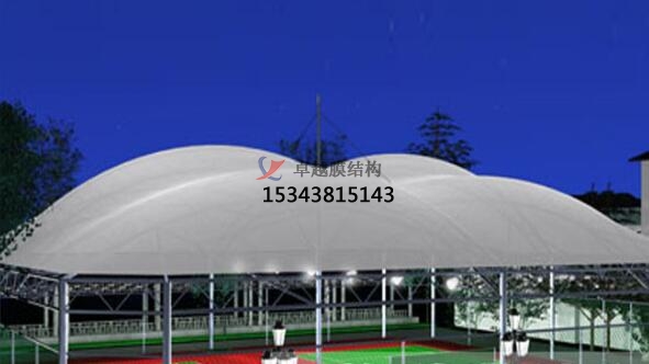 足球場(chǎng)膜結構雨棚