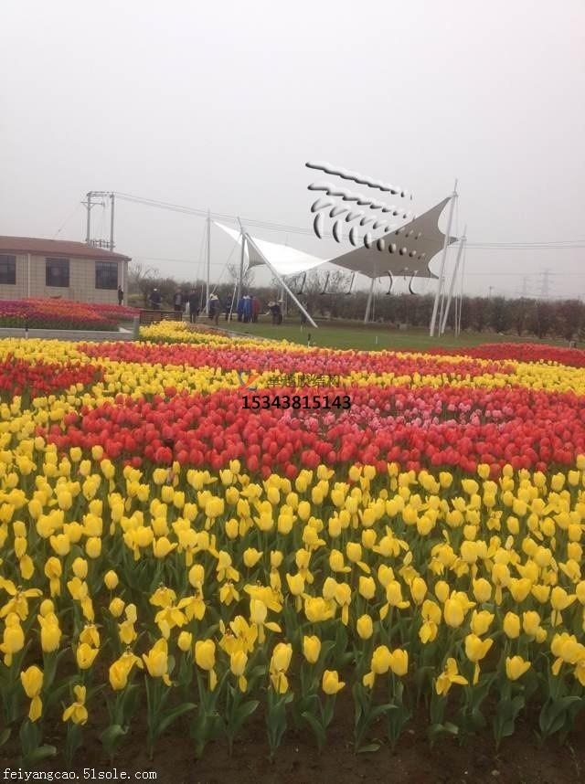 水富膜結構景觀(guān)【張拉膜景觀(guān)】承包安裝<font color='red'>價(jià)格</font>