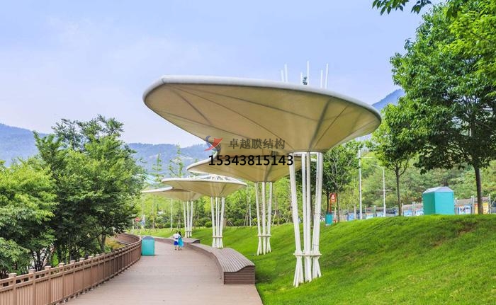 株洲<font color='red'>膜結構景觀(guān)</font>