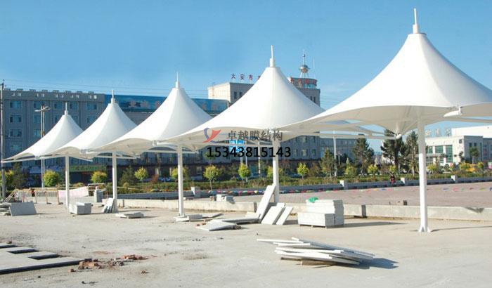 天水<font color='red'>膜結構景觀(guān)</font>