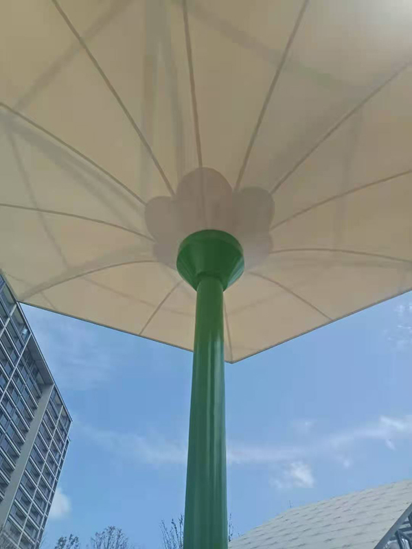 PTFE膜結構多少錢(qián)一平方